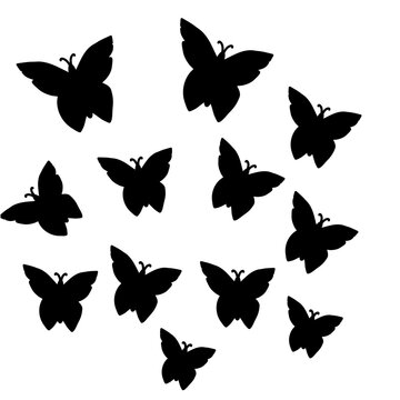 Group of butterflies vector illustration 