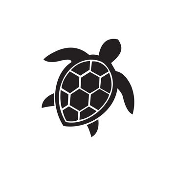 recommend clip art: sea turtle icon symbol