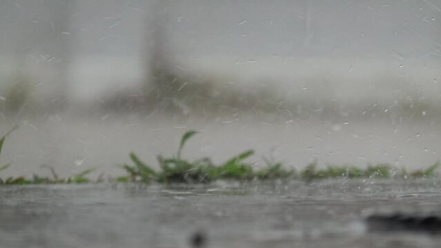 Regenzeit Gewitter Erguss Zeitlupe Tropfen