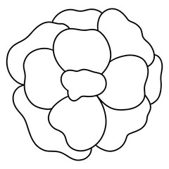 flower, Hand-drawn illustration, Spring season