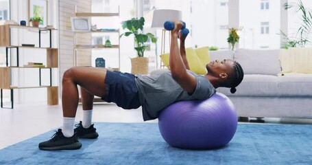 Fitness, home workout and a black man lifting weights on an exercise ball for strong muscles in the living room. Gym, health and a male athlete training in a house for wellness, strength or lifestyle