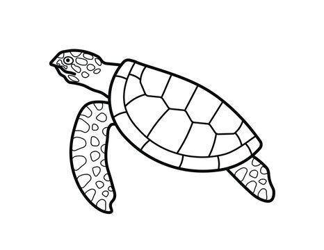 Sea turtle swimming isolated on white background. Wildlife animal and nature conservation concept. Illustration black and white drawing.
