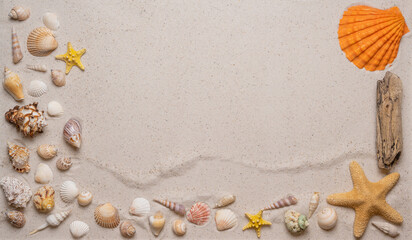 Fototapeta na wymiar Summer, beach and vacation concept with free text space. Top view. Flat layout with various sea shells, sea stars, driftwood on the left, right and lower side on fine sandy background