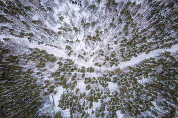 Aerial view of the road in the winter forest with high pine or spruce trees covered by snow. Driving in winter.