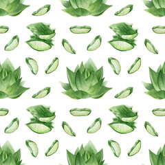 Aloe vera plant, slices, pulp and leaves of aloe. Watercolor seamless pattern on a white background. For packaging cosmetics, scrapbooking, wrapping paper