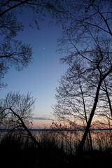 The evening sky after sunset over the water in the Berezinsky Reserve on the shore of Lake Plavno. Quiet and windless. Spring. April.