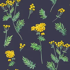 Behang Seamlesss pattern with herb Common Tansy, Tanacetum vulgare. Watercolor illustration isolated on dark blue background © Modesta
