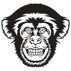 Chimpanzee illustration vector, Smiling chimpanzee head, Black contour on a white background, With teeth out