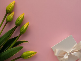 Tulips flowers, white gift box with a bow and paper background with copy space