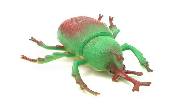 Green beetle plastic insect toy isolated on white background.