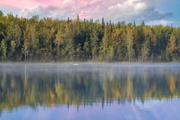 Fototapeta na wymiar Yukon in Canada, wild landscape in autumn of the Tombstone park, reflection of the trees in a lake at sunrise 