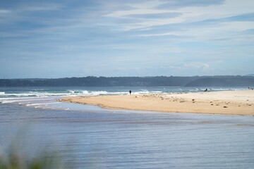 family enjoy a beach holiday in summer, swimming in the sea