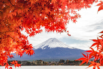 a colorful of maple red leaf in autumn with the fuji mountain and cloudy sky at the Kawaguchiko Lake in Japan, landscape photo of fuji mountain the landmark of japan.