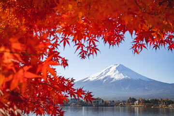 a colorful of maple red leaf in autumn with the fuji mountain and cloudy sky at the Kawaguchiko Lake in Japan, landscape photo of fuji mountain the landmark of japan.