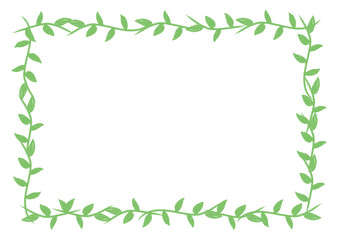 ボタニカル　葉っぱ　フレーム　背景　ナチュラル