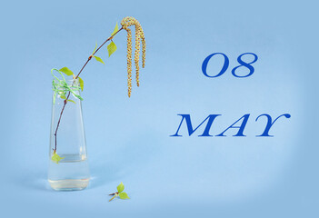 Calendar for May 8: a birch branch in a glass vase on a blue background, the name of the month May in English, the numbers 08