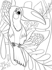 illustration outline line cute characters cartoon childish style tropical bird toucan coloring page for print and media postcard cover on white background