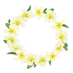 Yellow plumeria flowers. Tropical exotic flowers. Watercolor round frame on a white background. For greeting cards, postcard, scrapbooking, packaging design