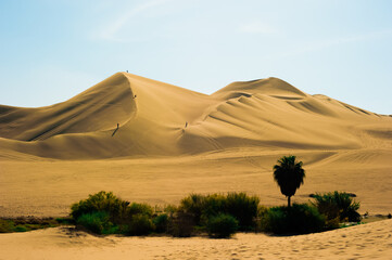 Fototapeta na wymiar The Huacachina Oasis, in the desert sand dunes near the city of Ica, Peru