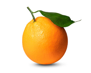 ネーブルオレンジ