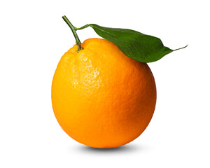 ネーブルオレンジ