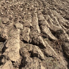 Ashtrable land plowed by a tractor