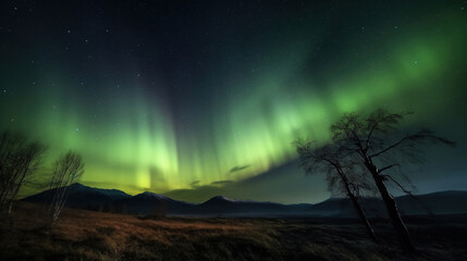 aurora in the sky. Generative Ai