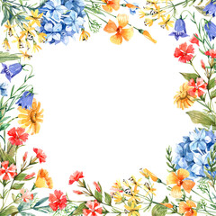 Watercolor floral frame with flowers of wild carnation, bluebell, hydrangea, escholcia. Wildflowers background.