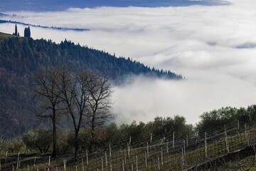Obraz premium autumn in the mountains