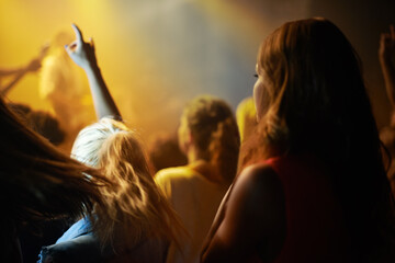 Back of woman in crowd, fan at concert or music festival watching rock event on stage. Girl in...