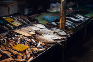 Fresh seafood at the street market