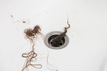 Hair bunch in white tile shower drain. Long hair pile falling down in bathroom. Hair loss, problem...
