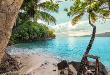 Naklejka na ściany i meble Small tropical beach with palm trees on Mahé Island, Seychelles.