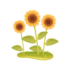 Sunflowers in garden 3d vector illustration. Outdoor garden plants on green grass in cartoon style isolated on white background. Nature, plant, gardening concept