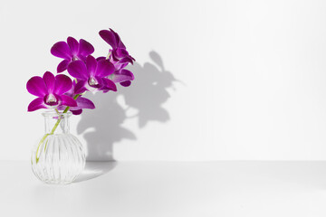 Still life mockup of purple orchid flowers in water glass with shadow on white clean wall on white studio background. Wallpaper with one light source. Perfume advertise. Place for text and copy space