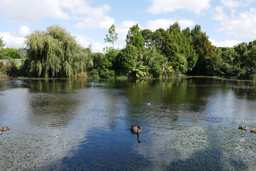 See im Botanischen Garten von Auckland