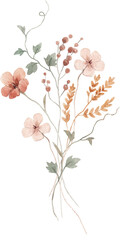 Beautiful floral stock png illustration with hand drawn watercolor wild field flowers. Clip art.