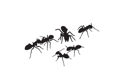black ant silhouette vector design template