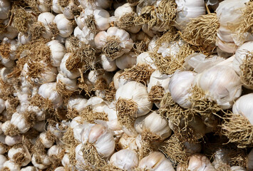 food and vegetable background with organic dried garlic 
