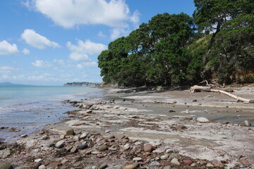 Fototapeta na wymiar Strand im Long Bay Regional Park bei Auckland Neuseeland