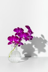 Vertical mockup of purple orchid flowers in transparent water glass with shadow on wall on white studio background. One light vision source. Place for text and copy space. Wallpaper, copy space