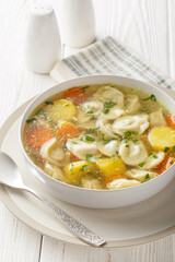 Russian Pelmeni soup with carrots, onions, potatoes and chicken broth close-up in a plate on a wooden table. Vertical