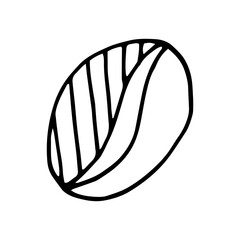 coffee bean hand drawn in doodle style. Suitable for icon, sticker, packaging decor. minimalism, monochrome, Scandinavian
