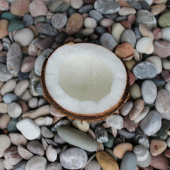 White Flesh Inside Chopped Coconut On A Round Sea Pebbles Square Stock Photo

