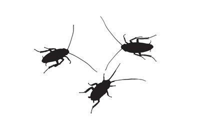 black cockroach silhouette vector design template