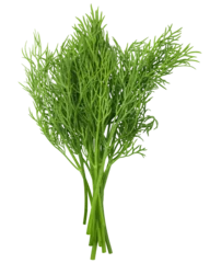 Foto op Aluminium Dill isolated on white background, full depth of field © grey