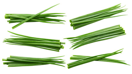 Green Onion isolated on white background, full depth of field