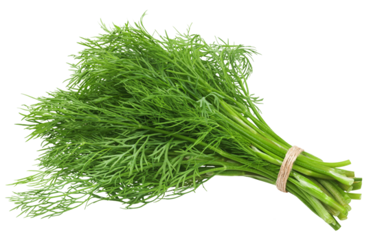 Dill isolated on white background, full depth of field