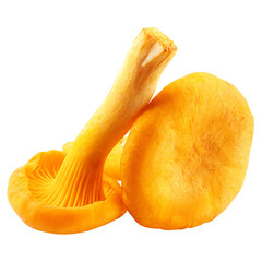 mushroom Chanterelle isolated on white background, full depth of field