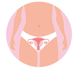 Female organs on the body of a girl uterus illustration